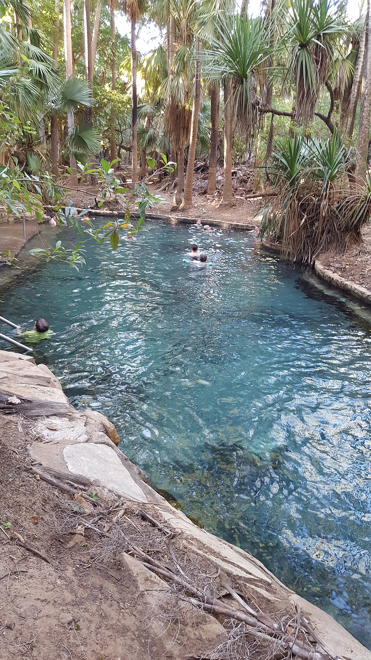 Mataranka Thermal Pools, Australia