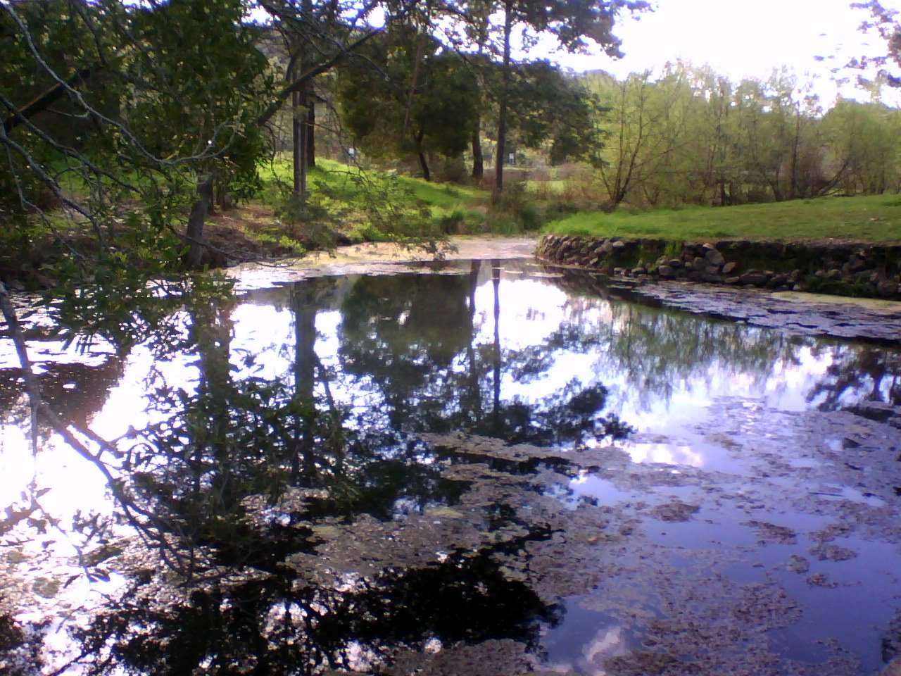 Kimberley Warm Springs, Australia hot spring in Australia
