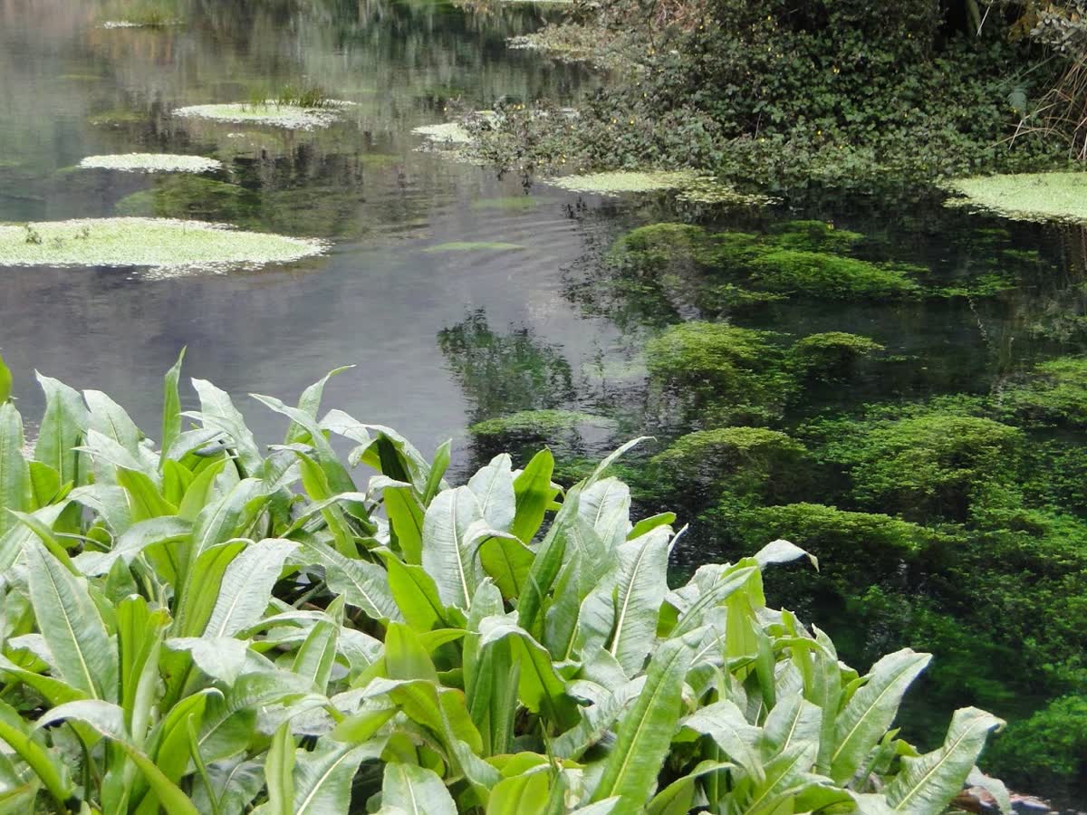 Aguas Termales Iza, Colombia