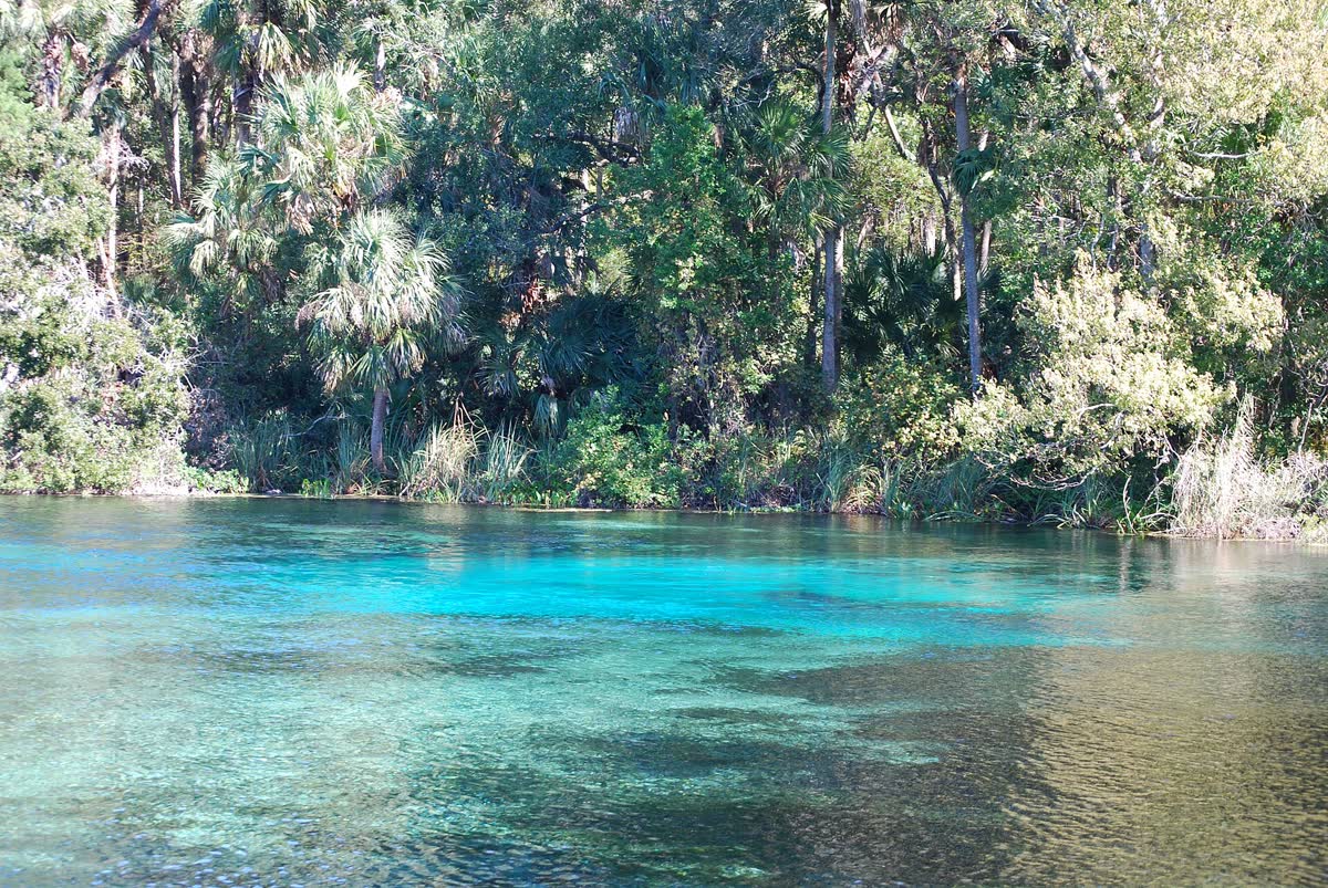 Alexander Springs, Florida hot spring in United States