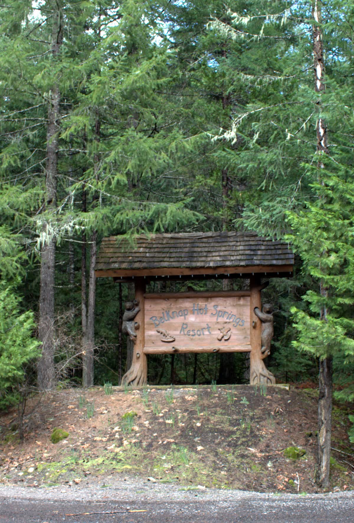 Belknap Hot Springs, Oregon hot spring in United States