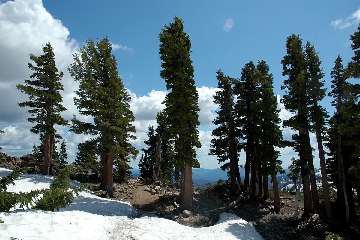 Bumpass Hell Trail, California hot spring in United States