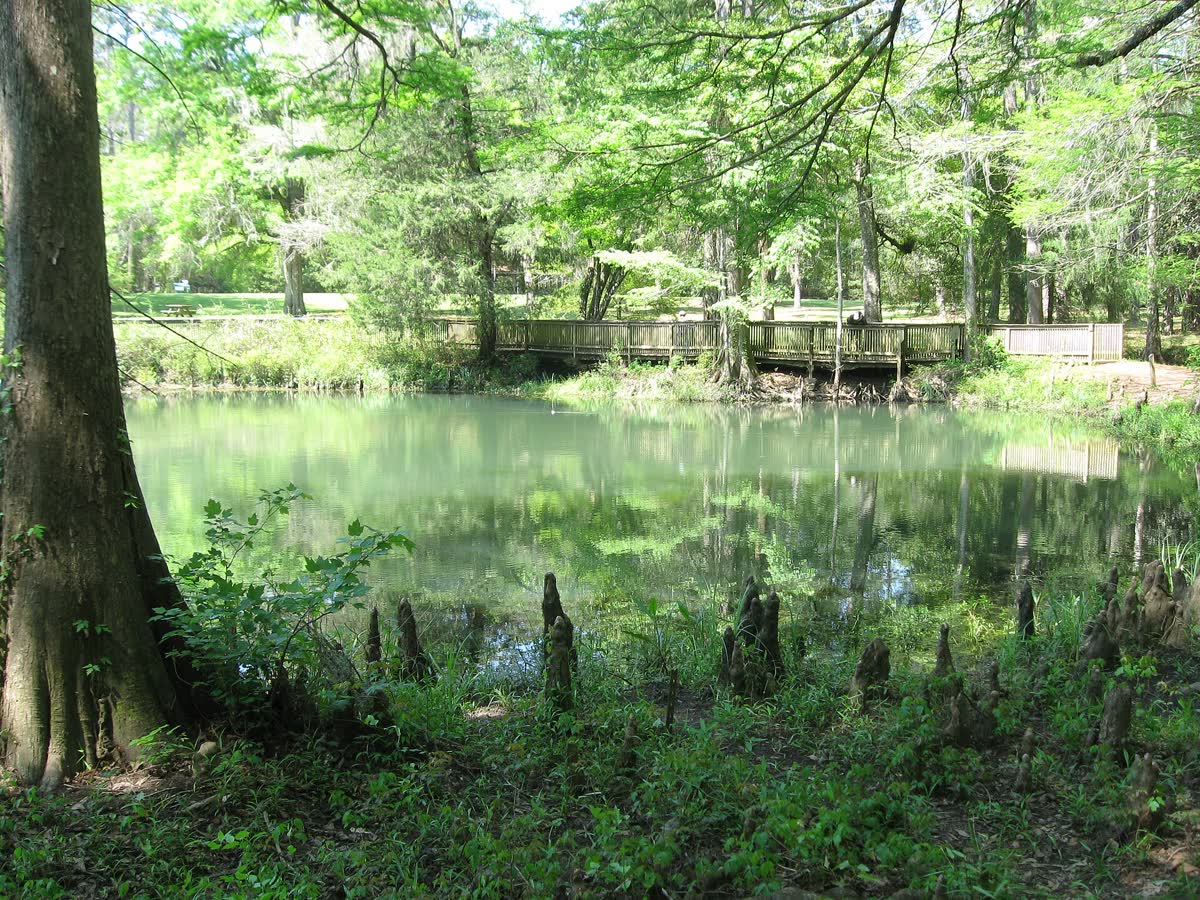 Cypress Springs, Florida hot spring in United States