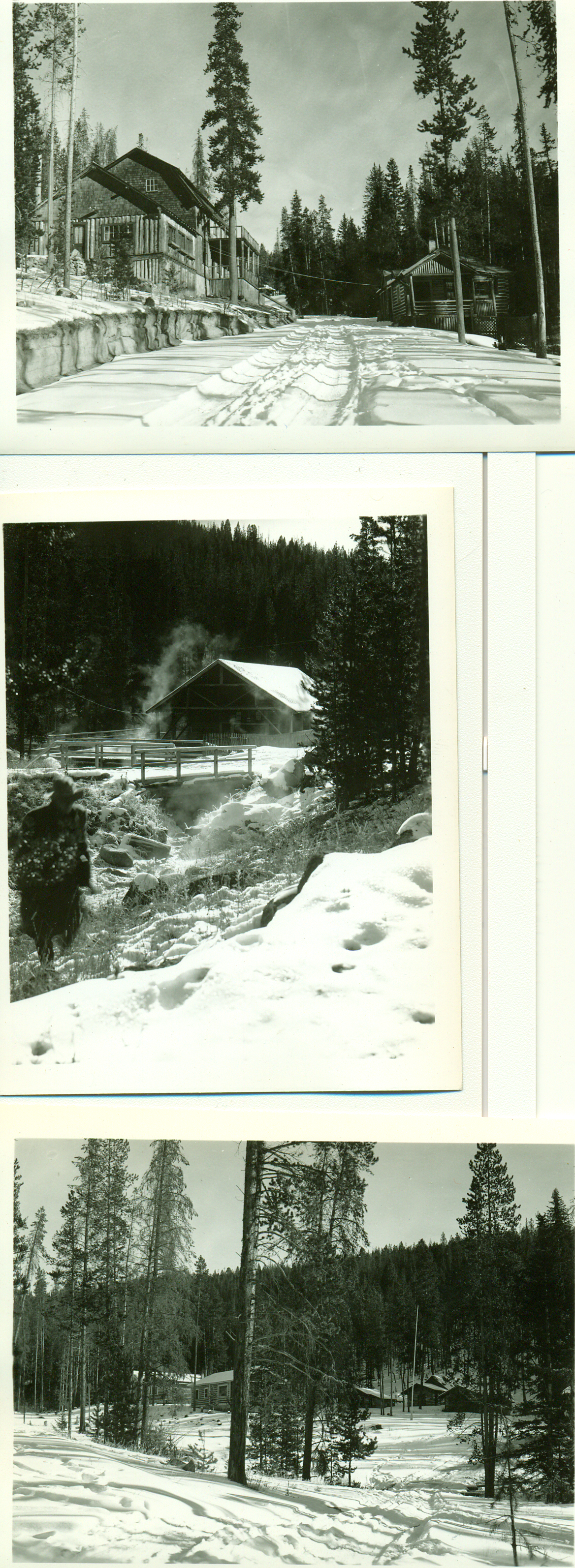 Elkhorn Hot Springs, Montana hot spring in United States