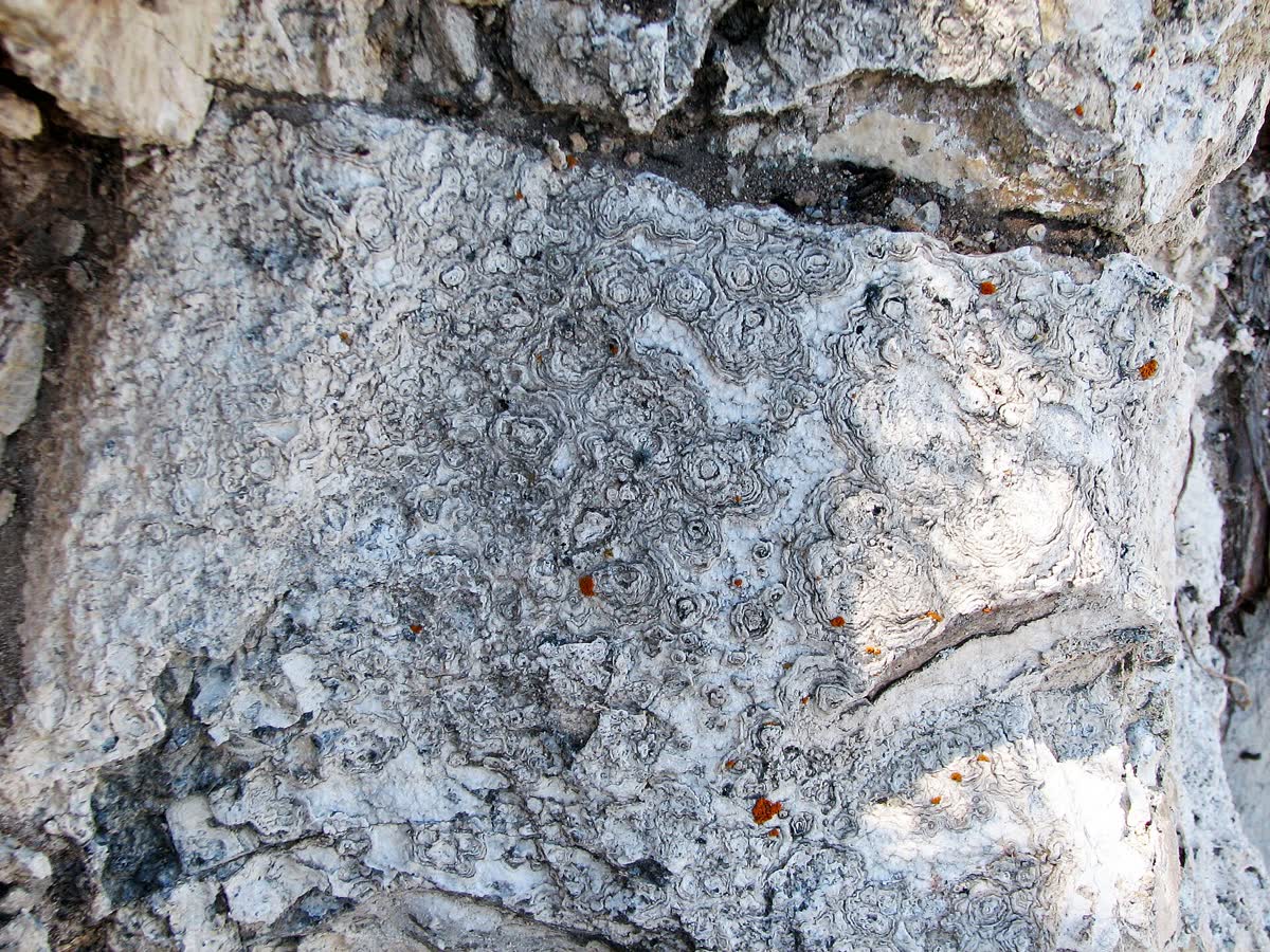 Hot Creek Geologic Site, California hot spring in United States