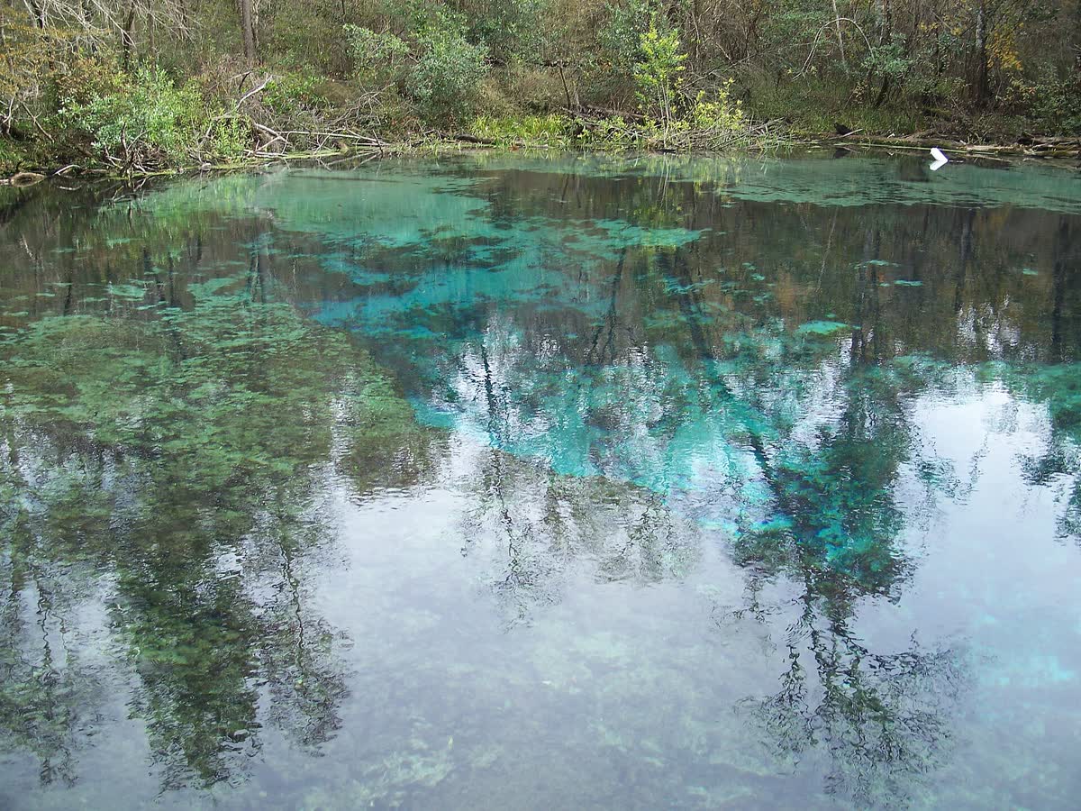 Ichetucknee Springs, Florida hot spring in United States