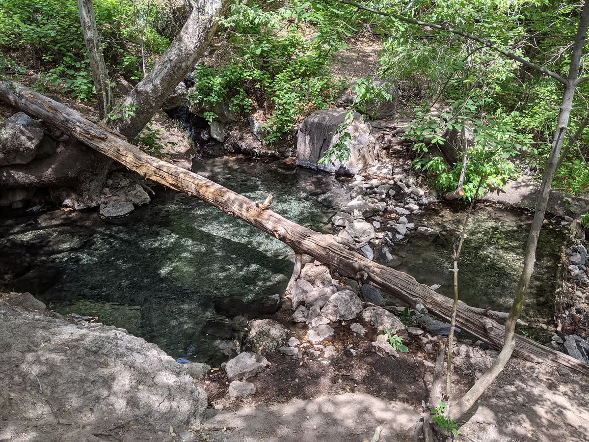 Jordan Hot Spring, New Mexico hot spring in United States