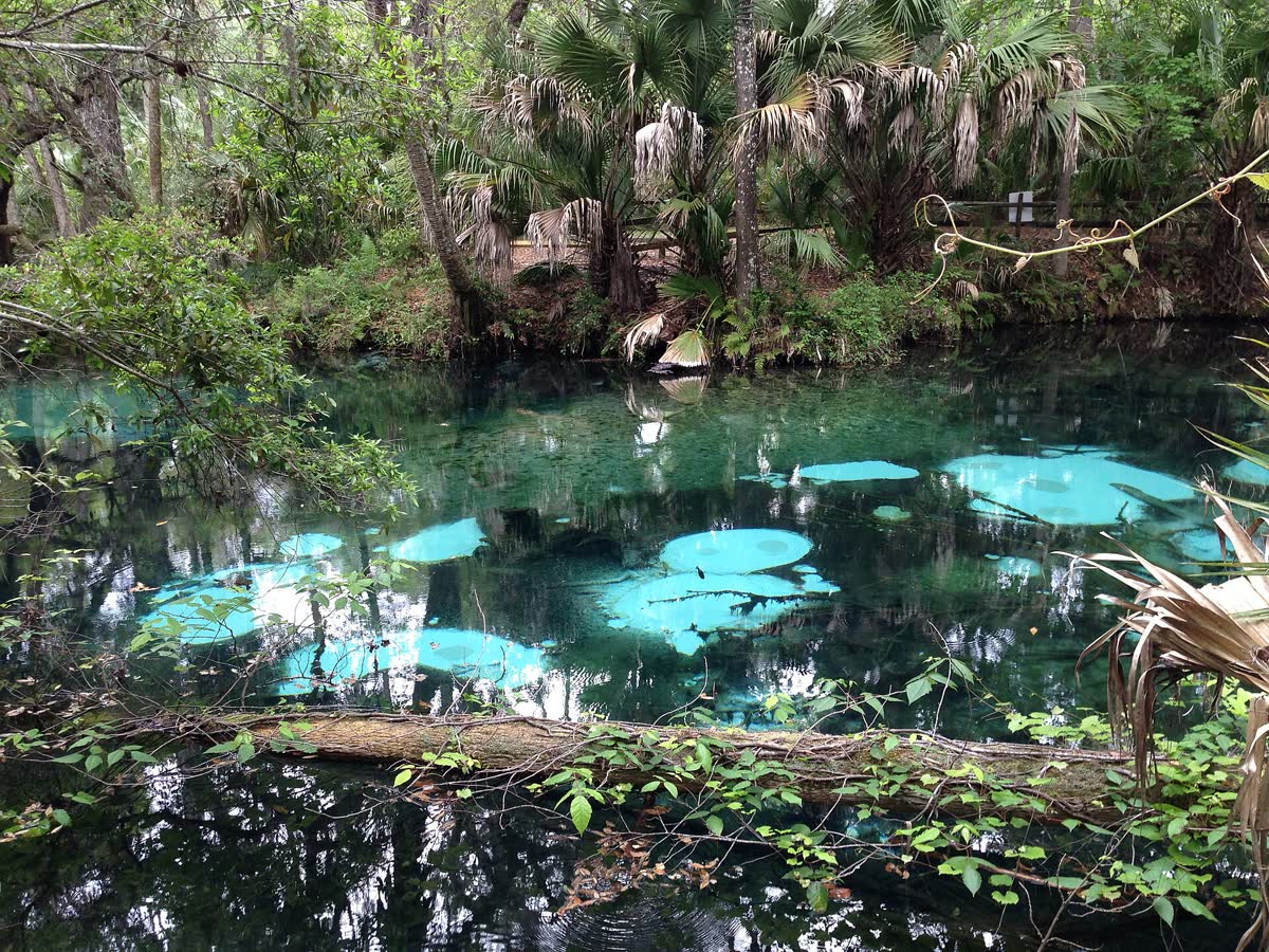 Juniper Springs, Florida hot spring in United States
