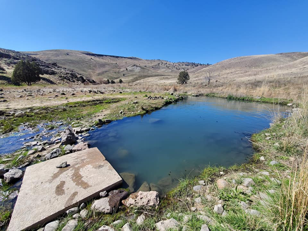 Juntura Hot Springs, Oregon hot spring in United States