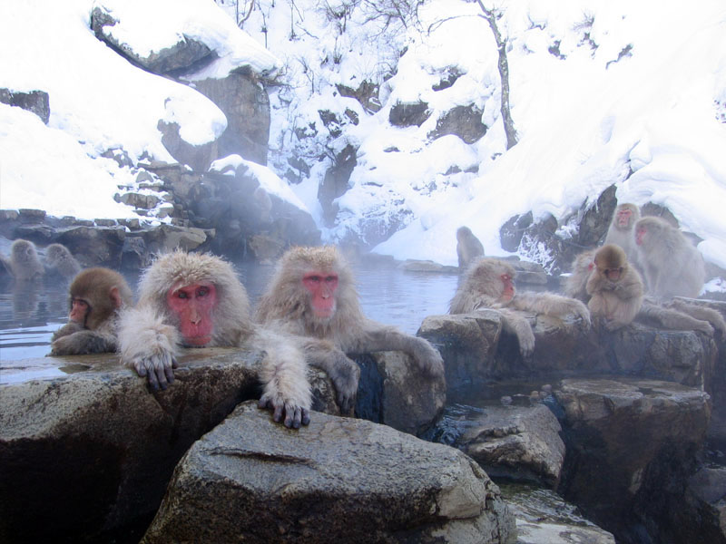Kawayu Onsen Sennin Buro River Bath Japan hot spring in Japan