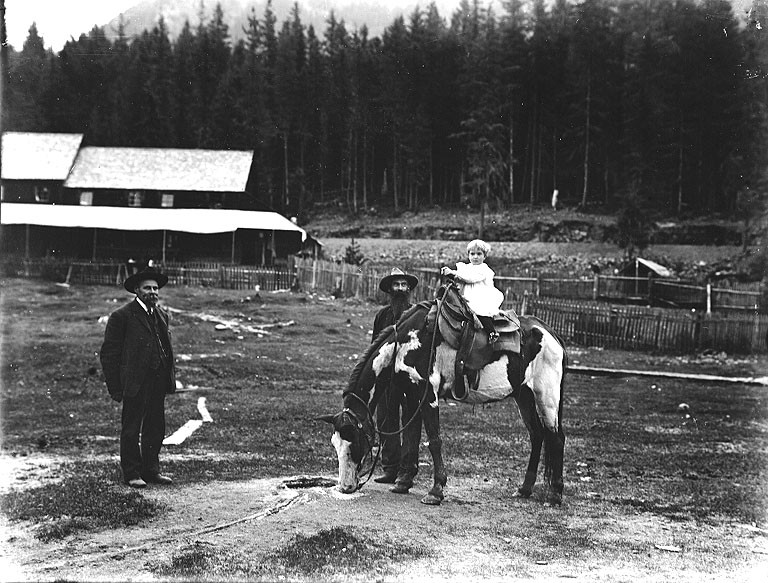 Longmire Springs, Washington hot spring in United States