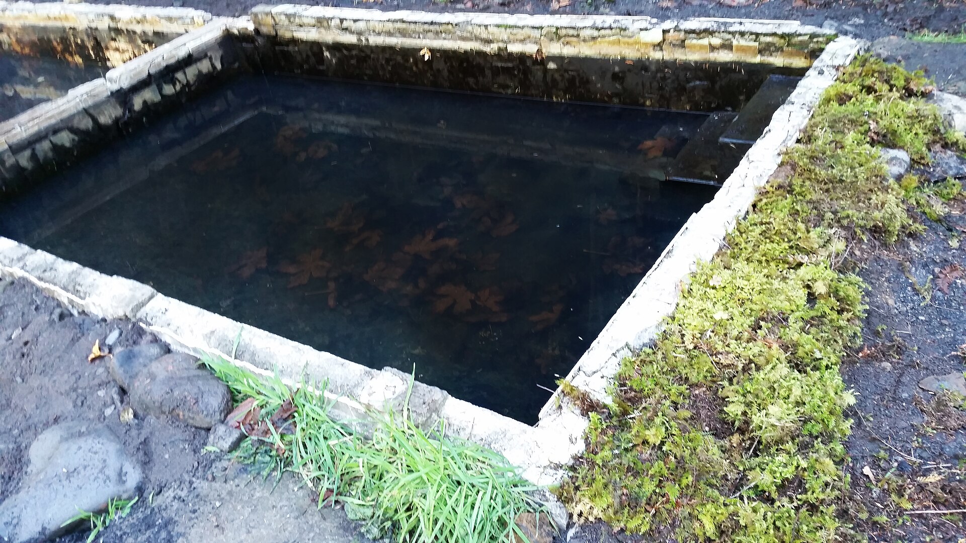 Lower Breitenbush Hot Springs, Oregon hot spring in United States