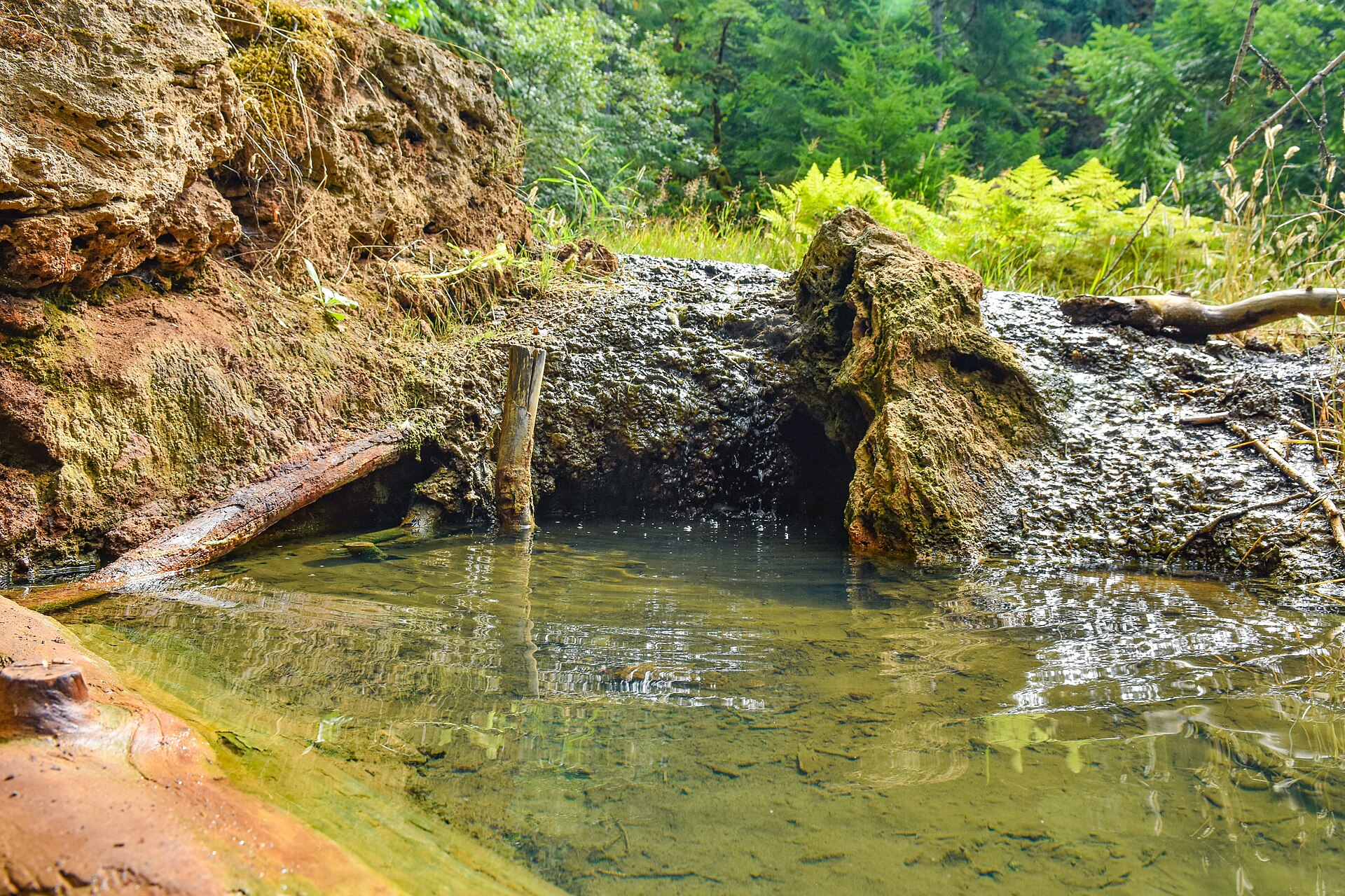 Ohanapecosh Hot Springs, Washington hot spring in United States