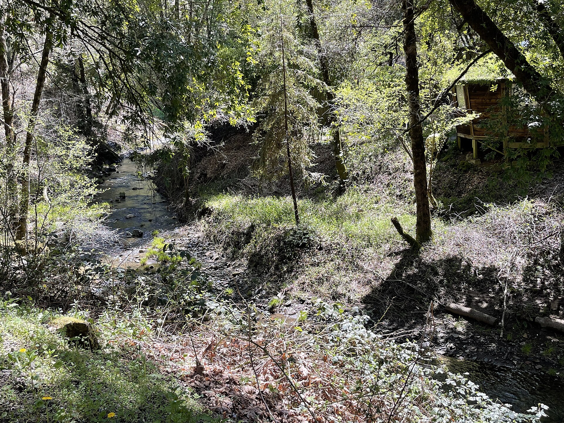 Orr Hot Springs, California hot spring in United States