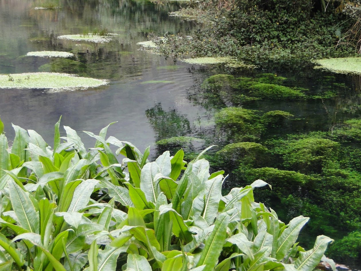 Parque Termal Paipa, Colombia