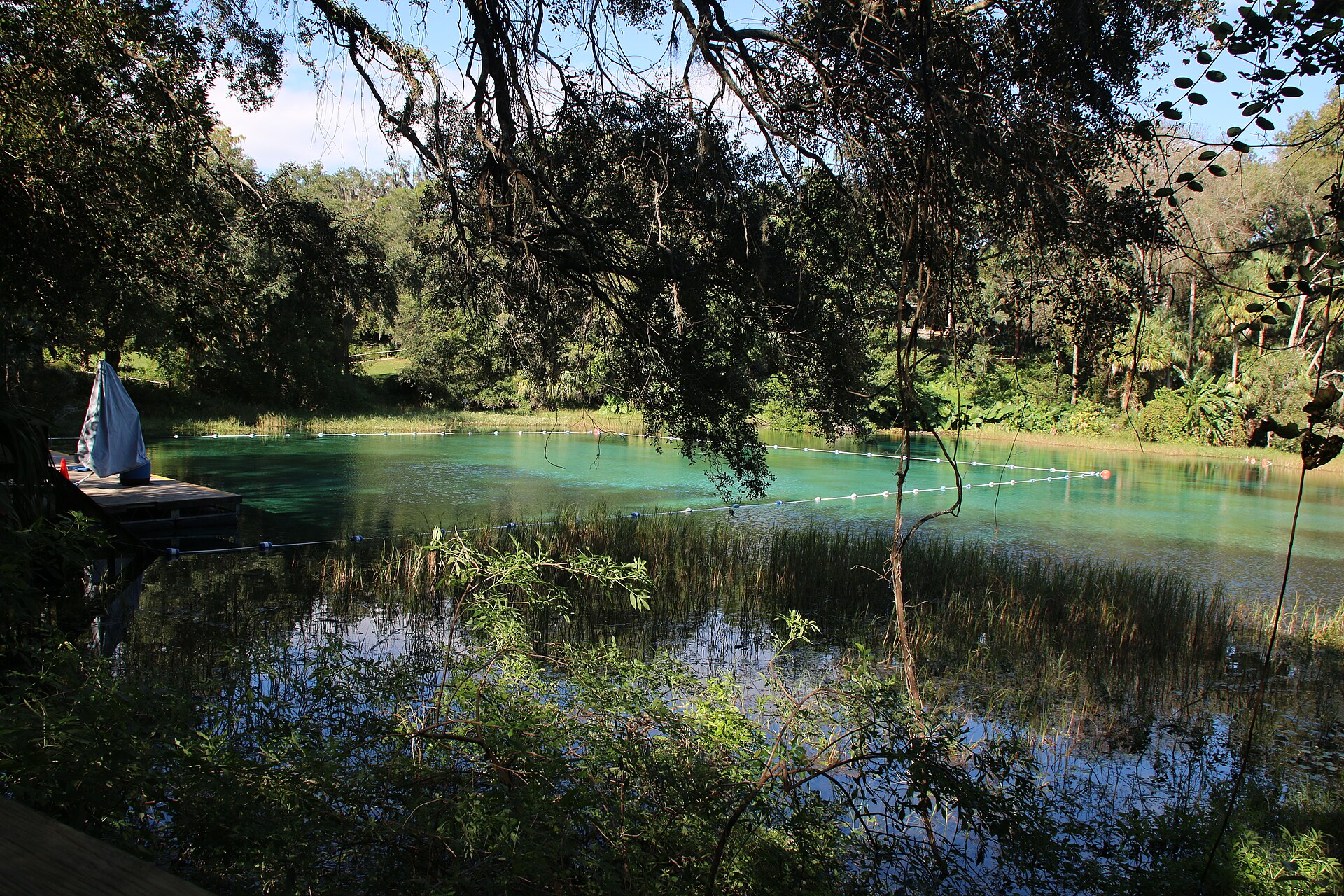 Rainbow Springs, Florida hot spring in United States