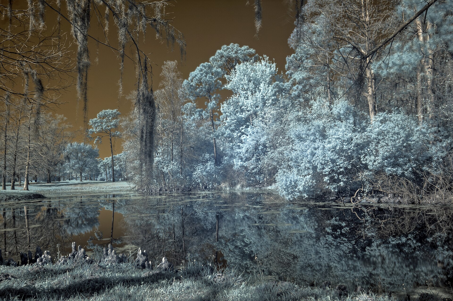 Royal Springs, Florida hot spring in United States