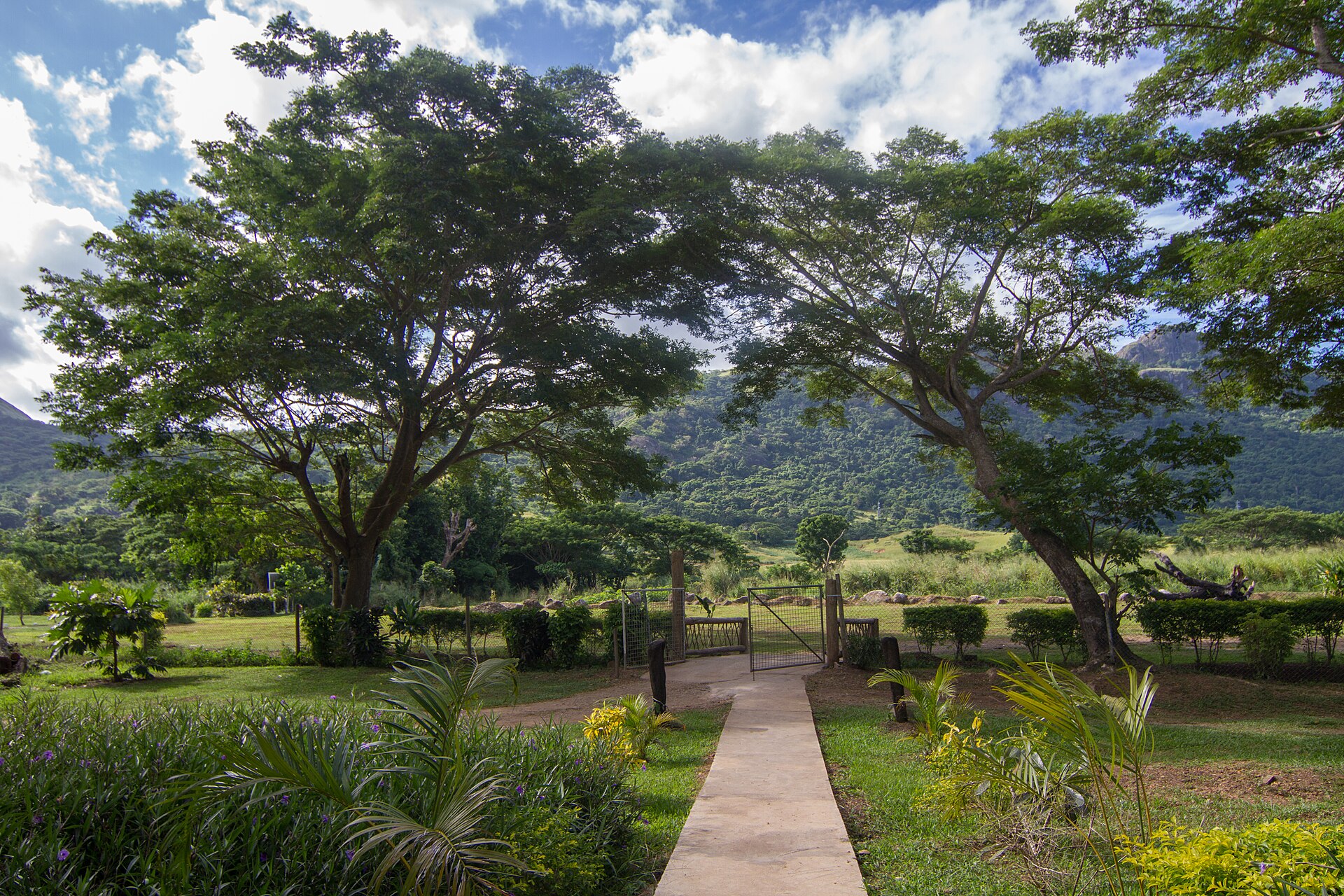 Sabeto Hot Springs and Mud Pool, Fiji hot spring in Fiji