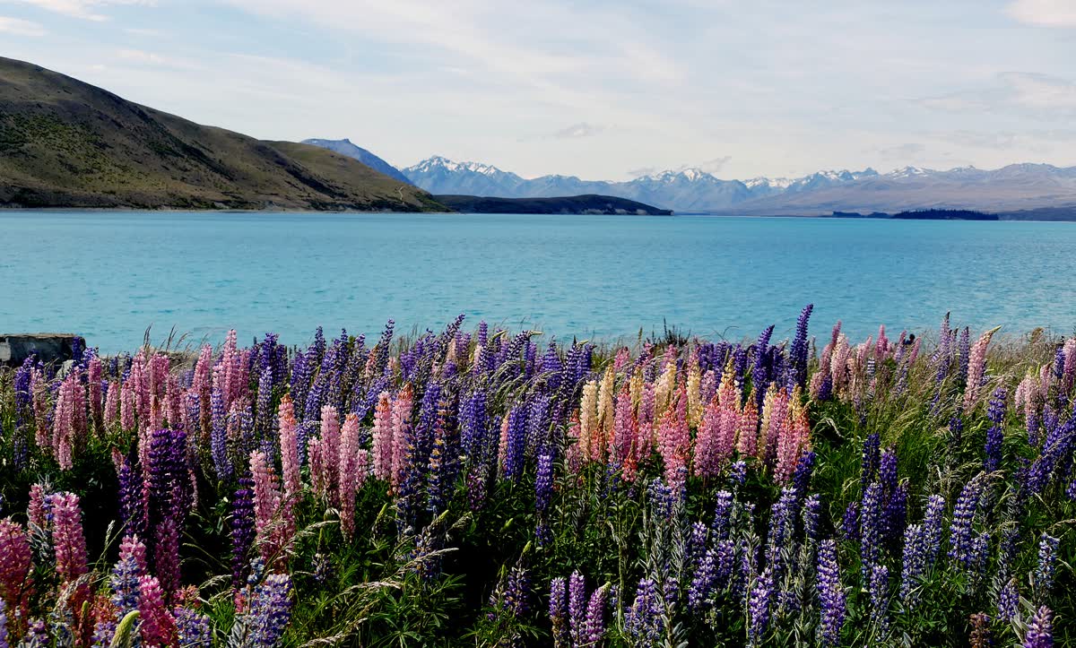 Tekapo Springs, New Zealand hot spring in New Zealand