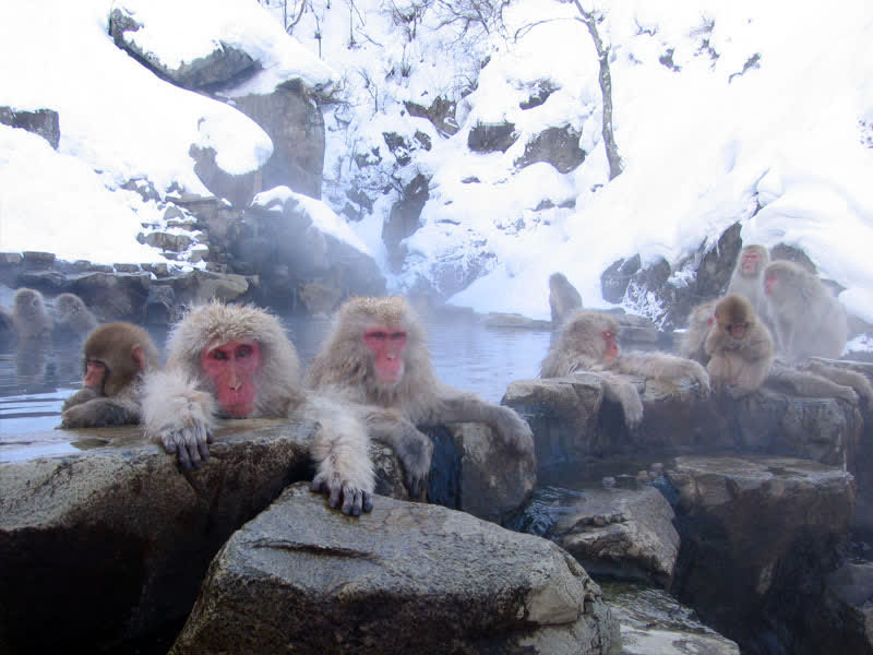 Tenzan Toji Kyo Japan hot spring in Japan