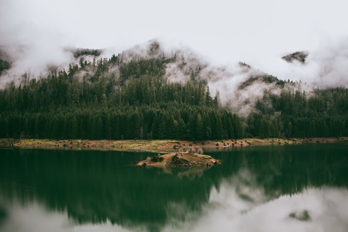 Terwilliger Cougar Hot Springs, Oregon hot spring in United States