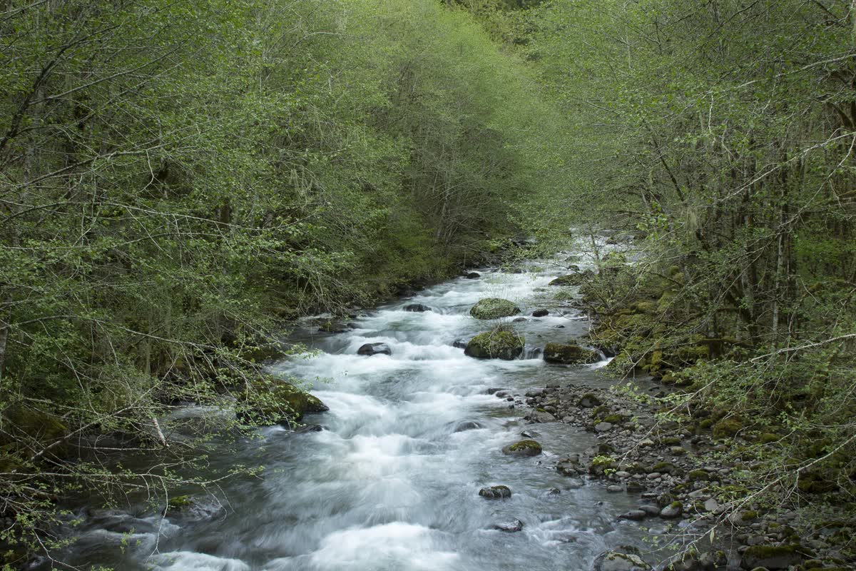 Three Forks Warm Springs, Oregon hot spring in United States