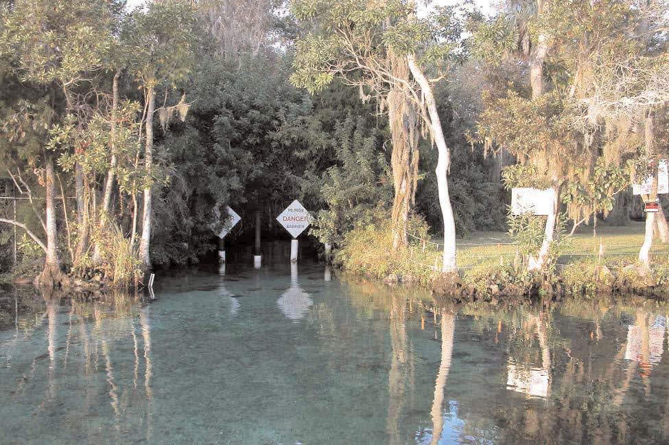 Three Sisters Springs, Florida hot spring in United States